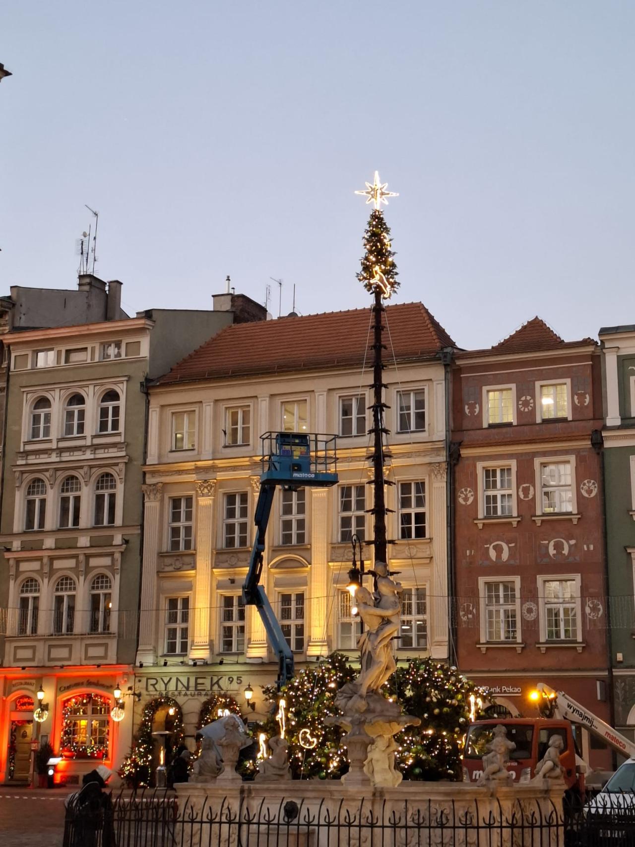Poznański Stary Rynek ozdobi 16-metrowe drzewko