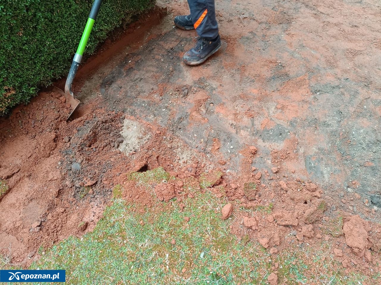 fot. Powiat Poznański / FB