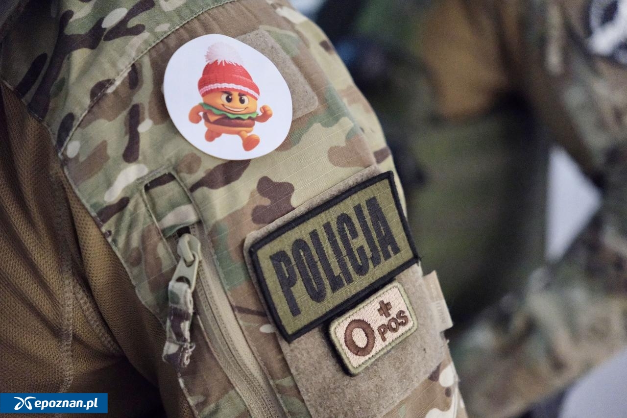 fot. Materiały prasowe