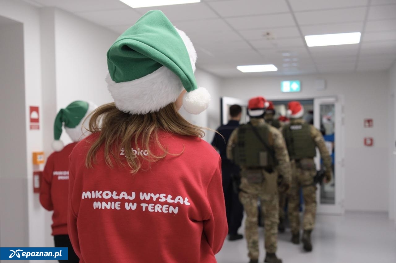 fot. Materiały prasowe