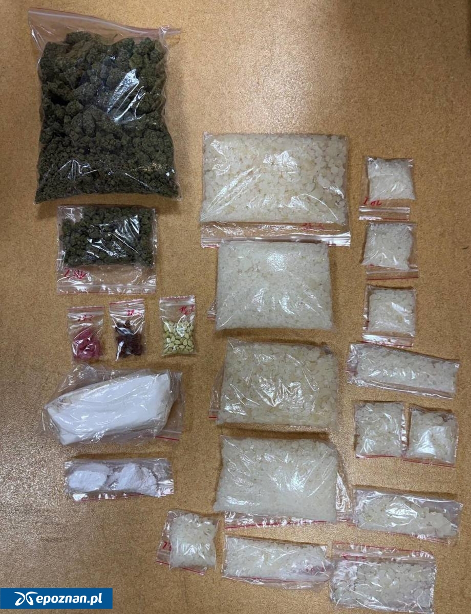 fot. KPP Międzychód