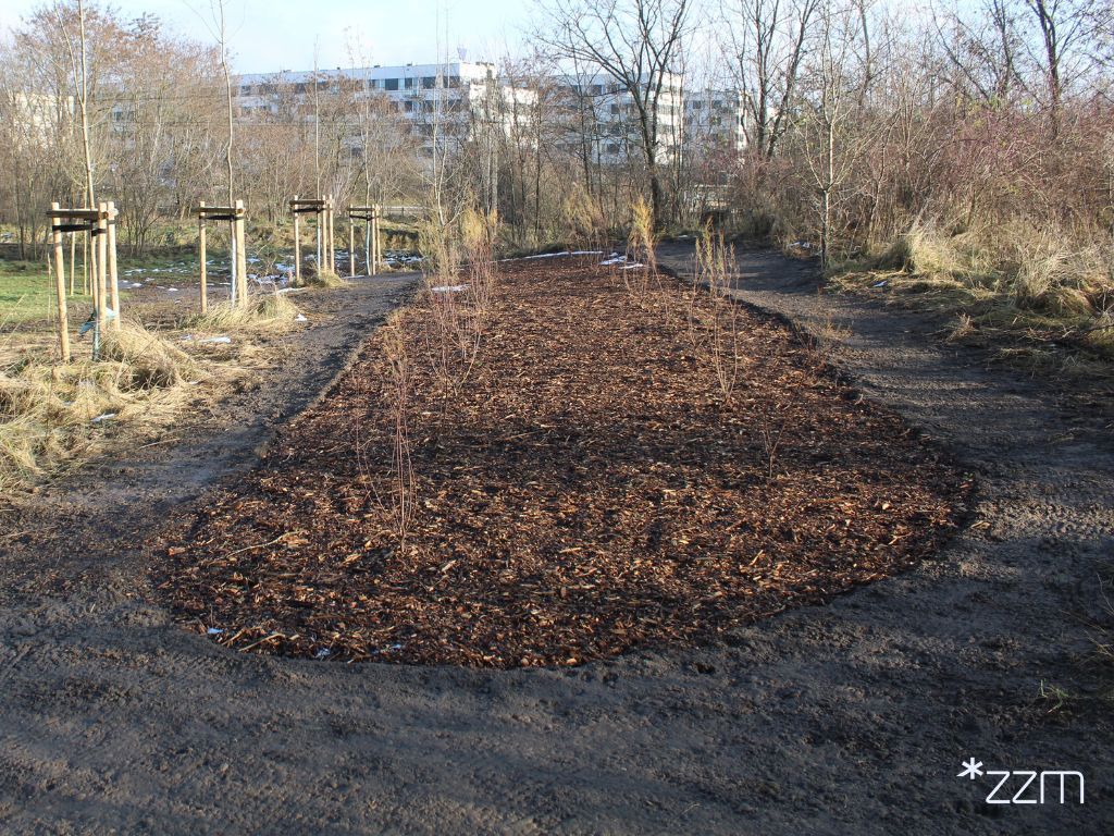 Ma być jeszcze bardziej zielono w poznańskim parku