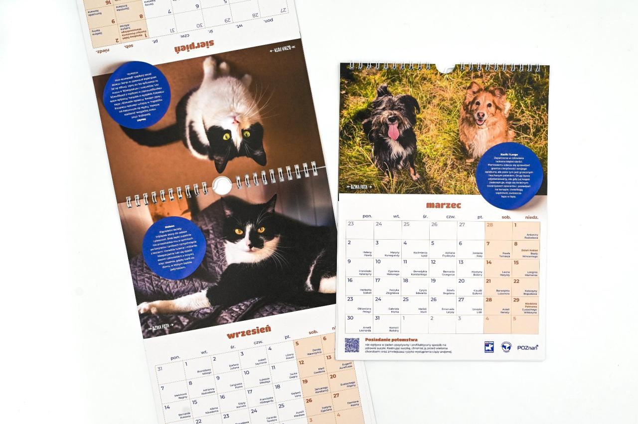 Potrzebna jest pomoc dla poznańskiego schroniska. Za wsparcie będzie wyjątkowy upominek