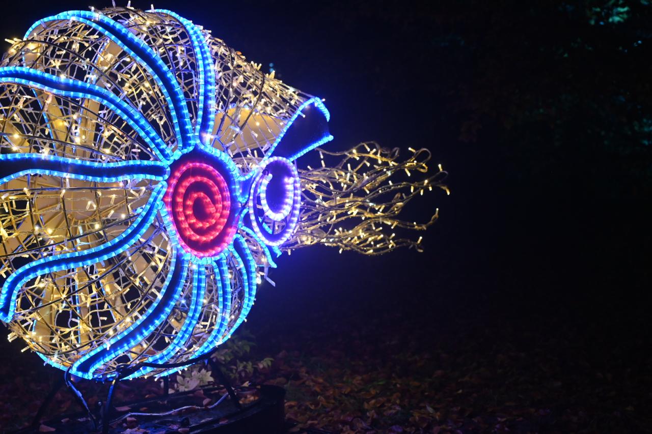 Jeszcze dziś w największym parku iluminacji w Poznaniu spotkamy Świętego Mikołaja