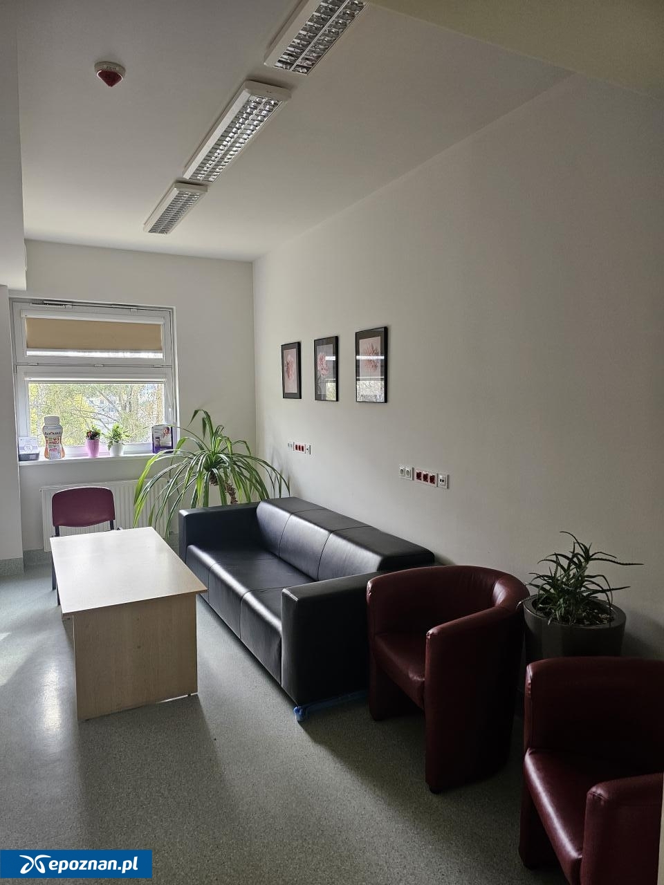 fot. Materiały prasowe