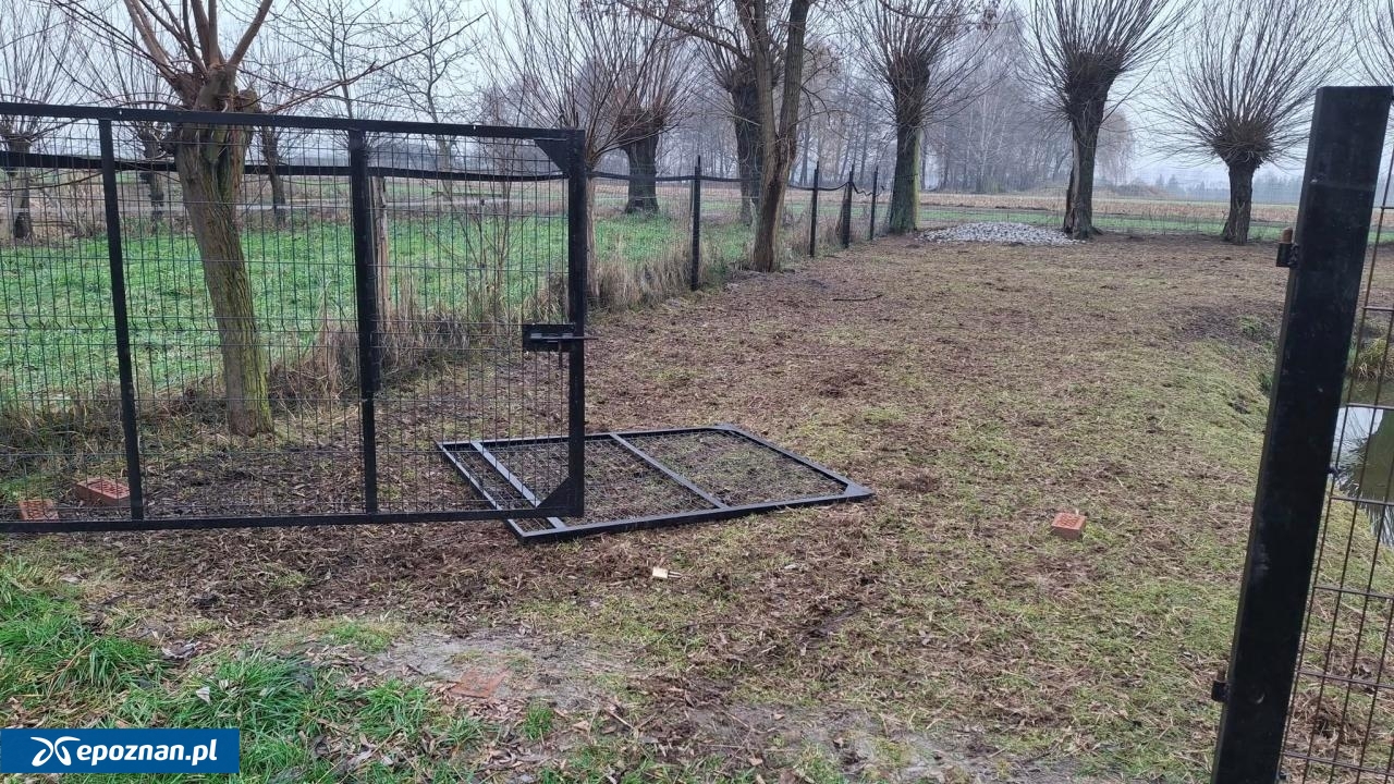 fot. Celmerówka / FB