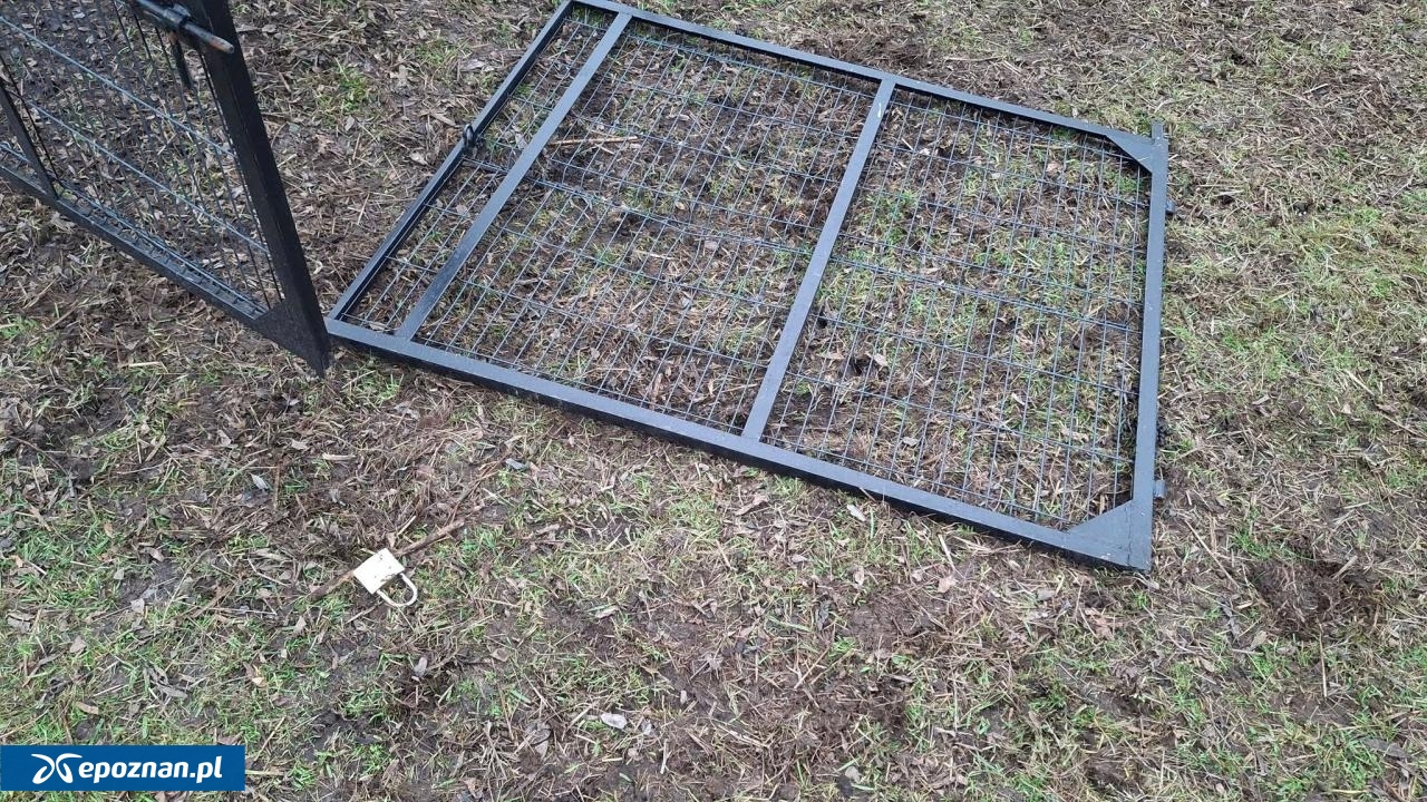 fot. Celmerówka / FB