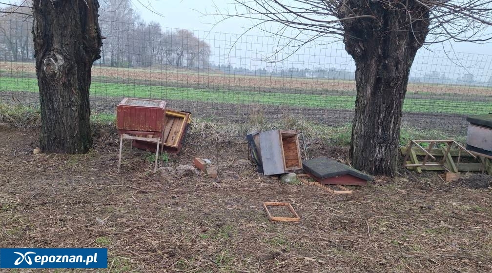 fot. Celmerówka / FB