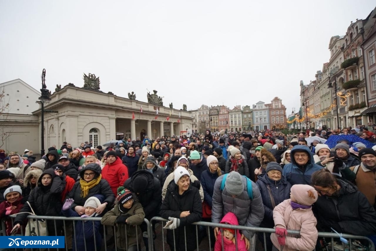 archiwum | fot. Maciej Kopiński