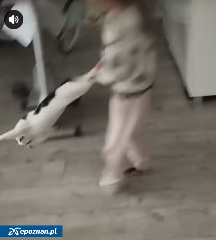 To nagranie zbulwersowało tysiące ludzi. Znane są dalsze losy kota Kacpra