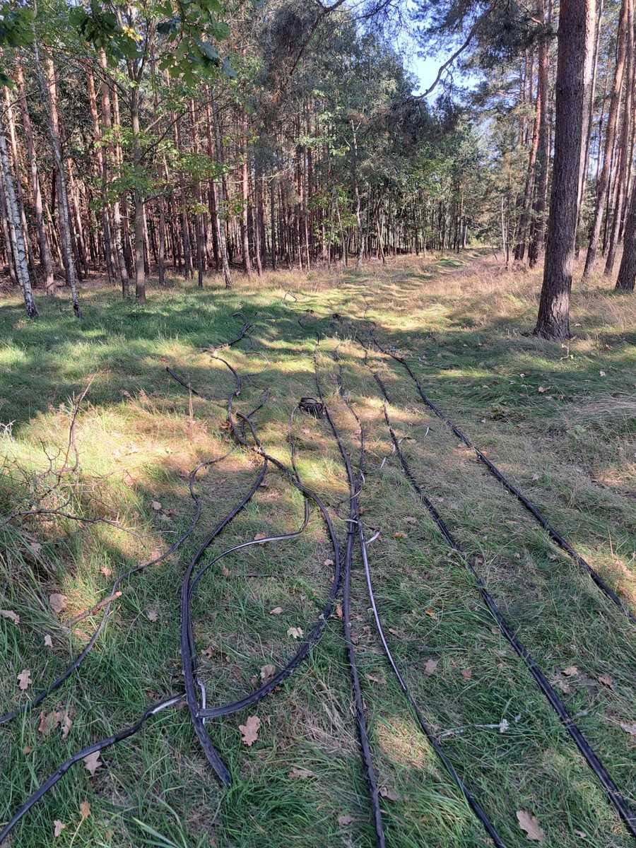 Region. Kradł napowietrzne linie telekomunikacyjne, później je wypalał i sprzedawał