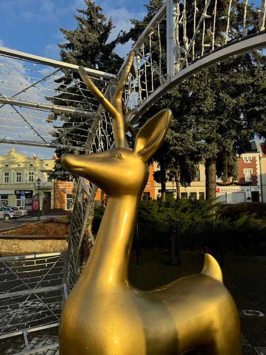 Jest apel do wandali z podpoznańskiego rynku. "Prosimy o dobrowolne zgłoszenie się do piątku 12 grudnia, do godz. 14:30"