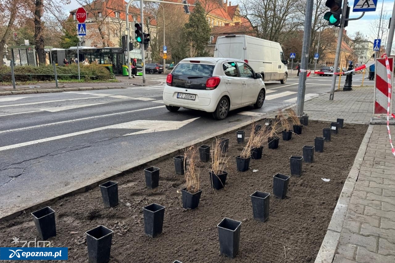 fot. Bartosz Szczepaniak / ZDM