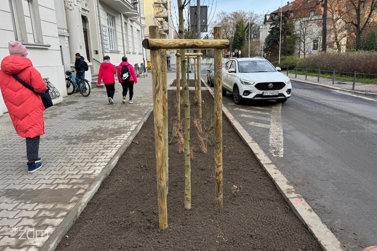 Więcej zieleni zamiast betonu na poznańskiej ulicy. realizowane są odbruki!