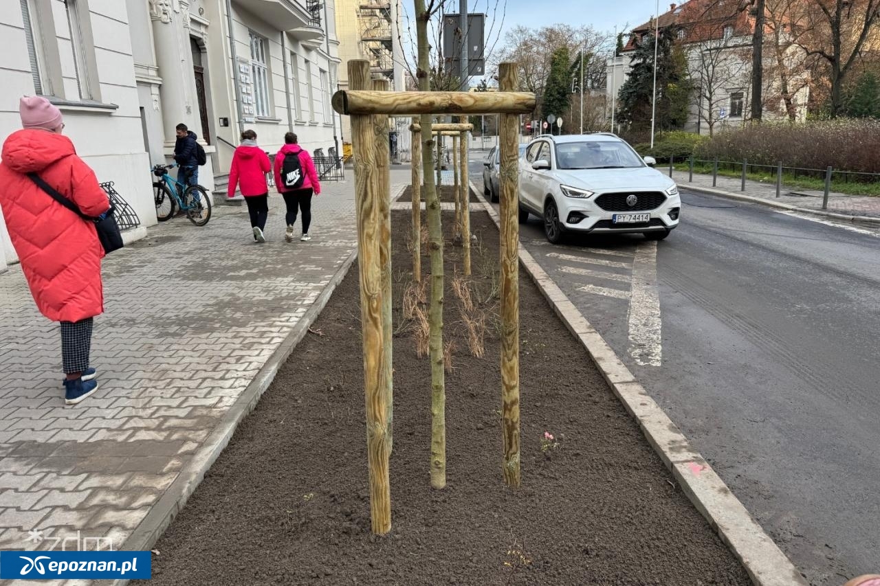 fot. Bartosz Szczepaniak / ZDM