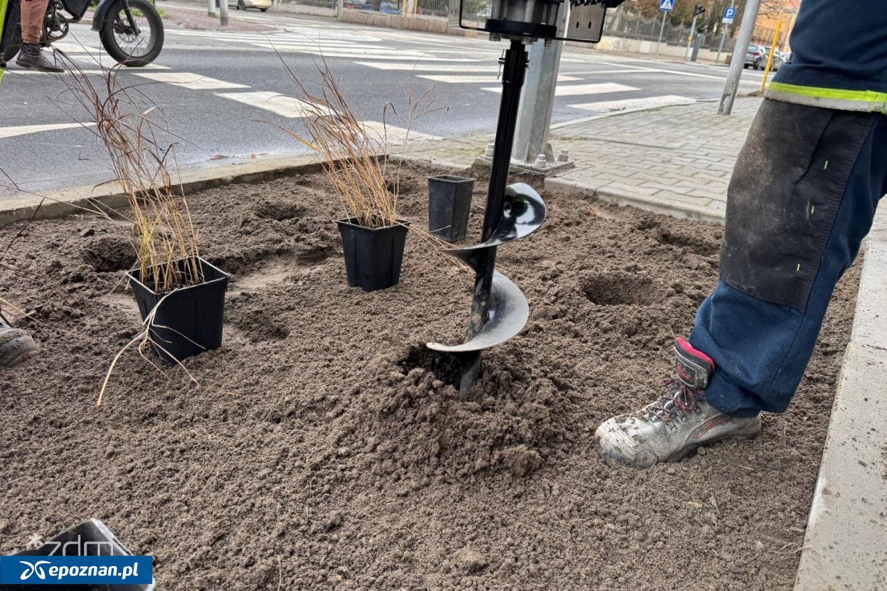 fot. Bartosz Szczepaniak / ZDM