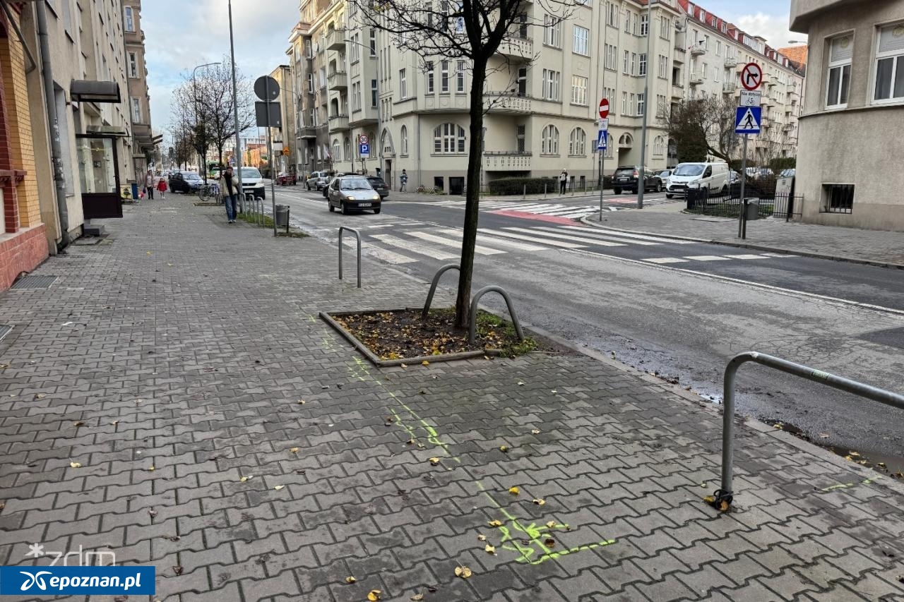 fot. Bartosz Szczepaniak / ZDM