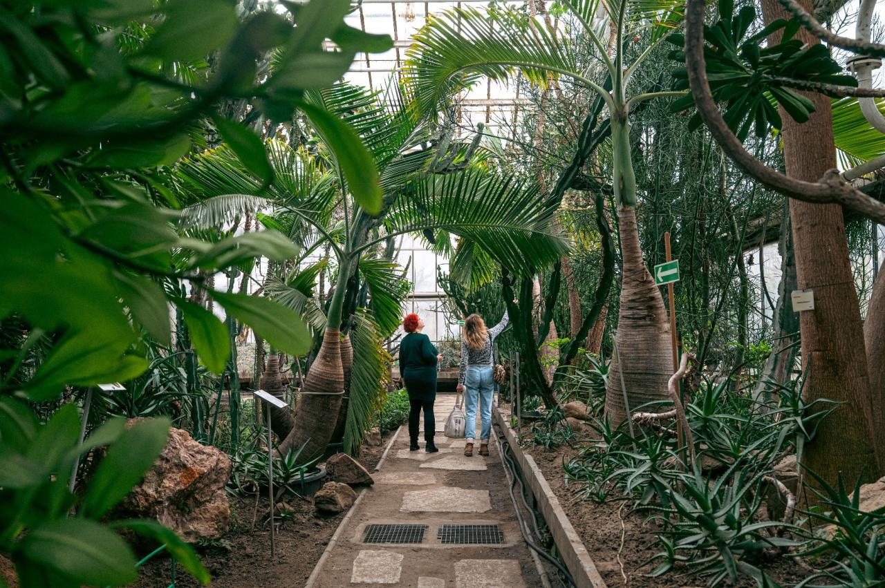 Nietypowa atrakcja w Palmiarni Poznańskiej. Będą degustacje