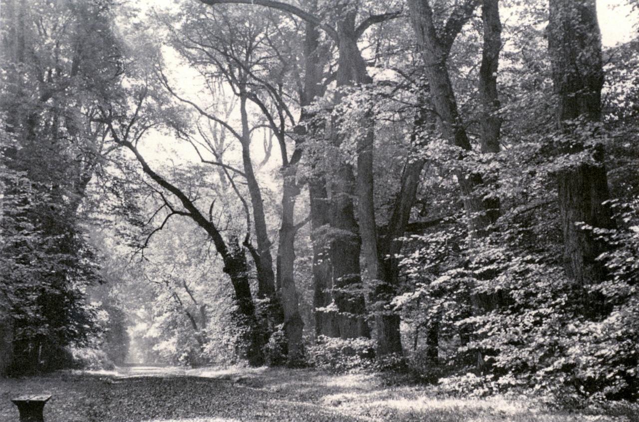 To popularne miejsce pod Poznaniem istnieje już niemal 200 lat. Apel wciąż aktualny!