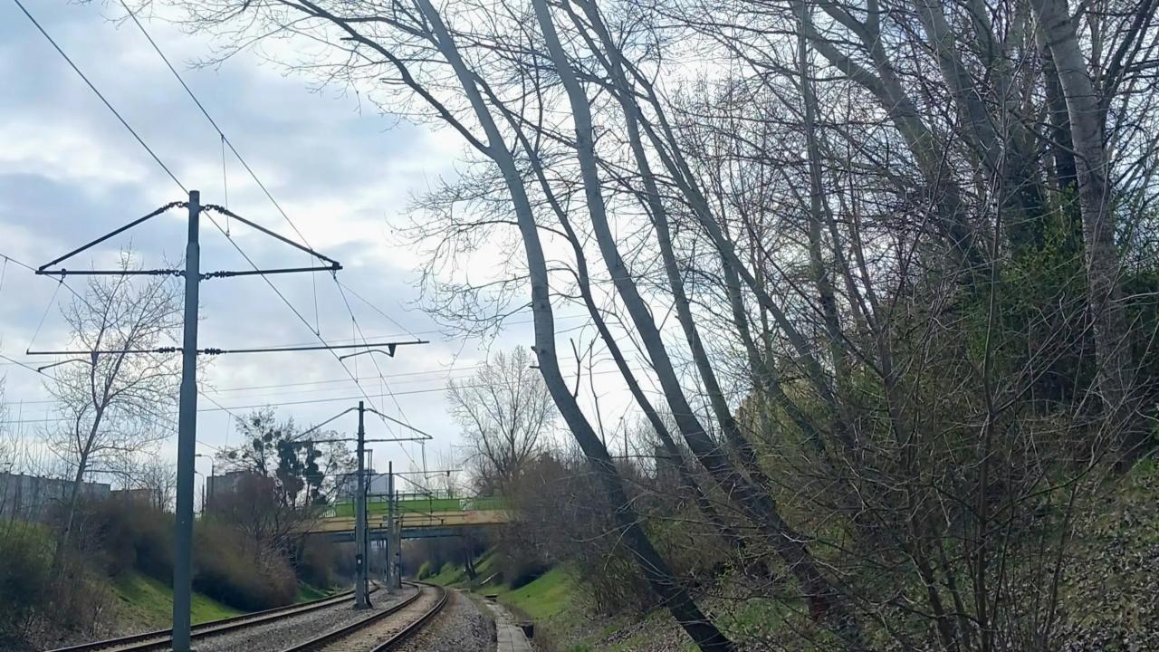 Na trasie PST w nocy będą usuwać 14 topól. "Działaniom może towarzyszyć hałas"