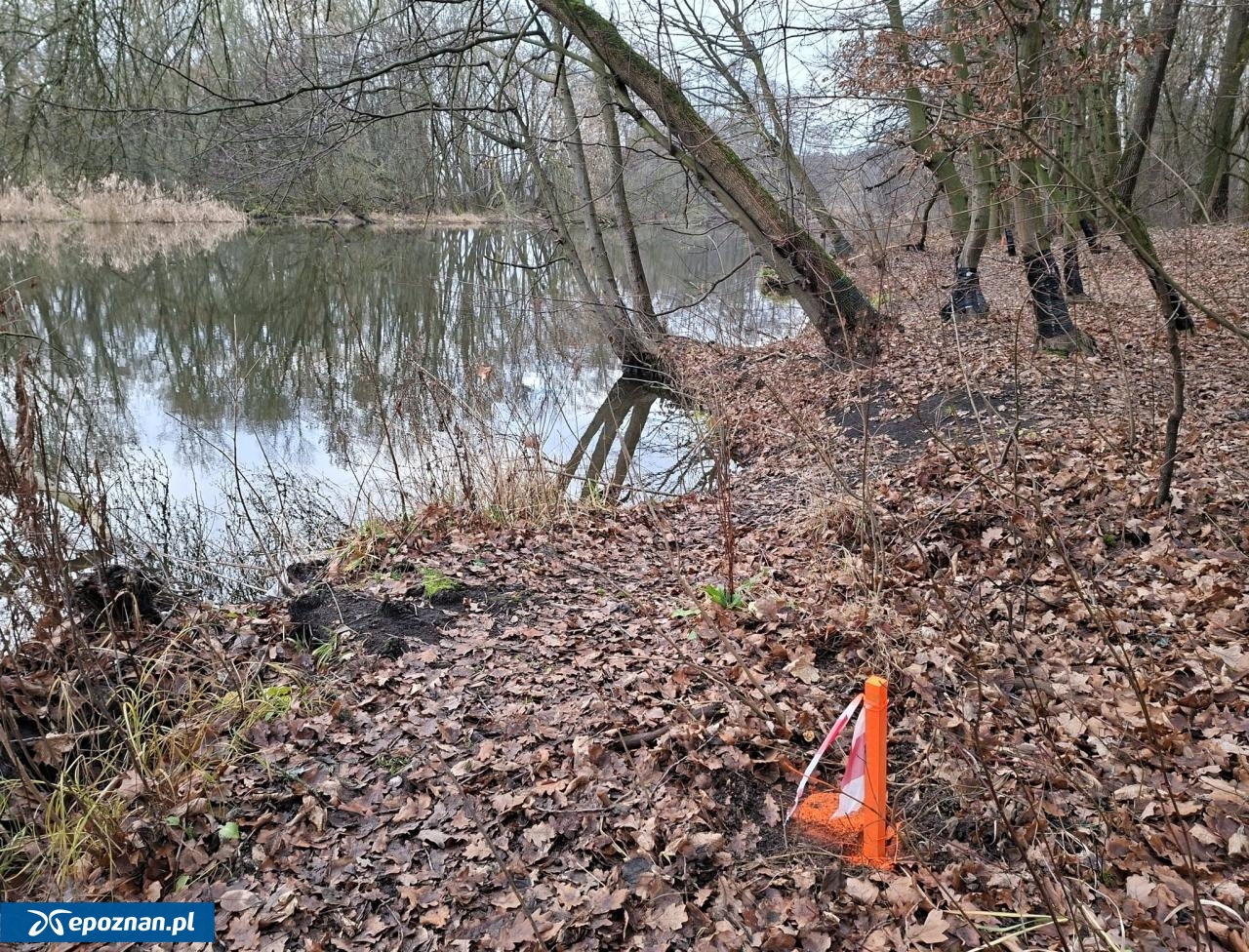 fot. Dzika Dębina FB