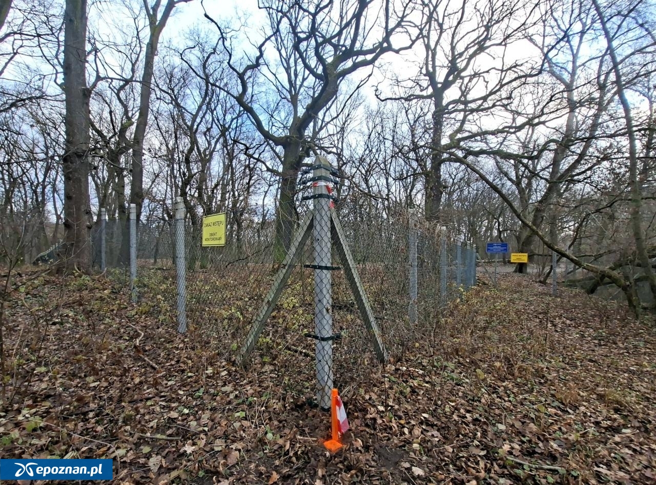 fot. Dzika Dębina FB