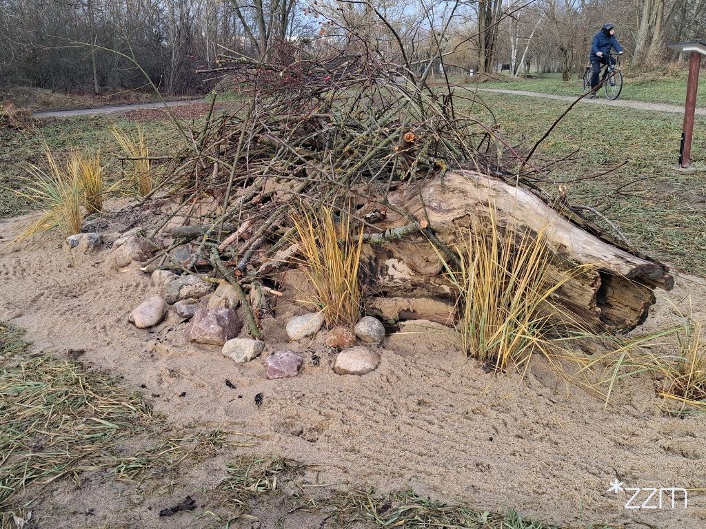 W Poznaniu powstały... domy dla jaszczurek