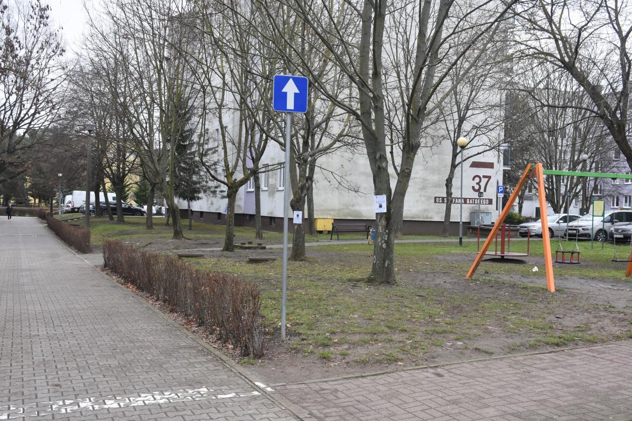 Spółdzielnia chce wyciąć trzy 30-letnie drzewa, by wybudować nowy śmietnik. Mieszkańcy oburzeni