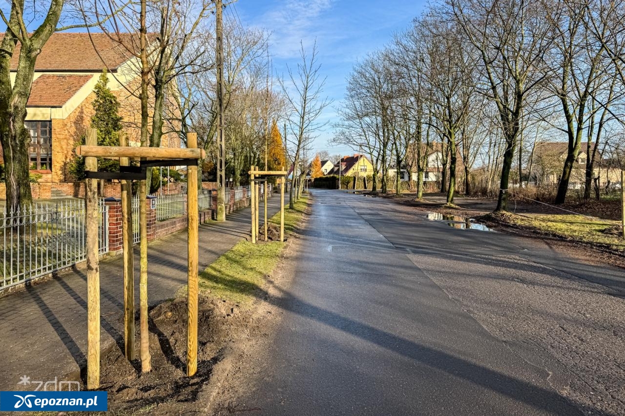 fot. Bartosz Szczepaniak / ZDM