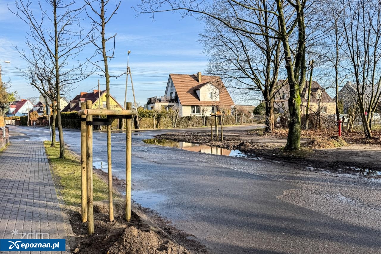 fot. Bartosz Szczepaniak / ZDM