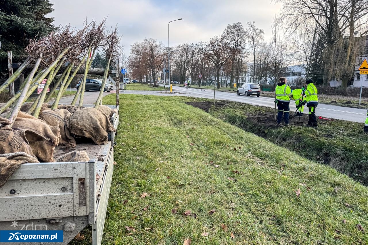fot. Bartosz Szczepaniak / ZDM