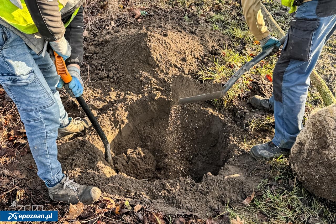 fot. Bartosz Szczepaniak / ZDM