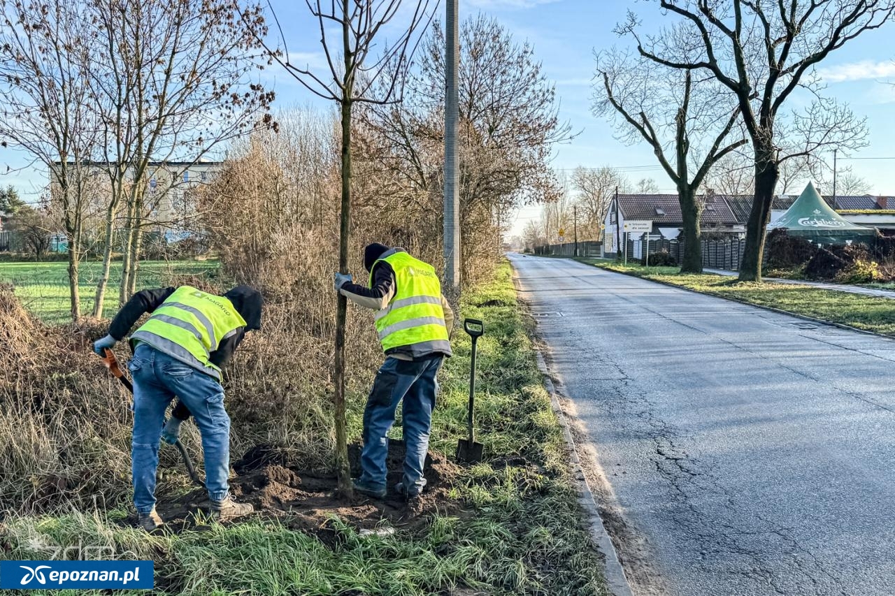 fot. Bartosz Szczepaniak / ZDM