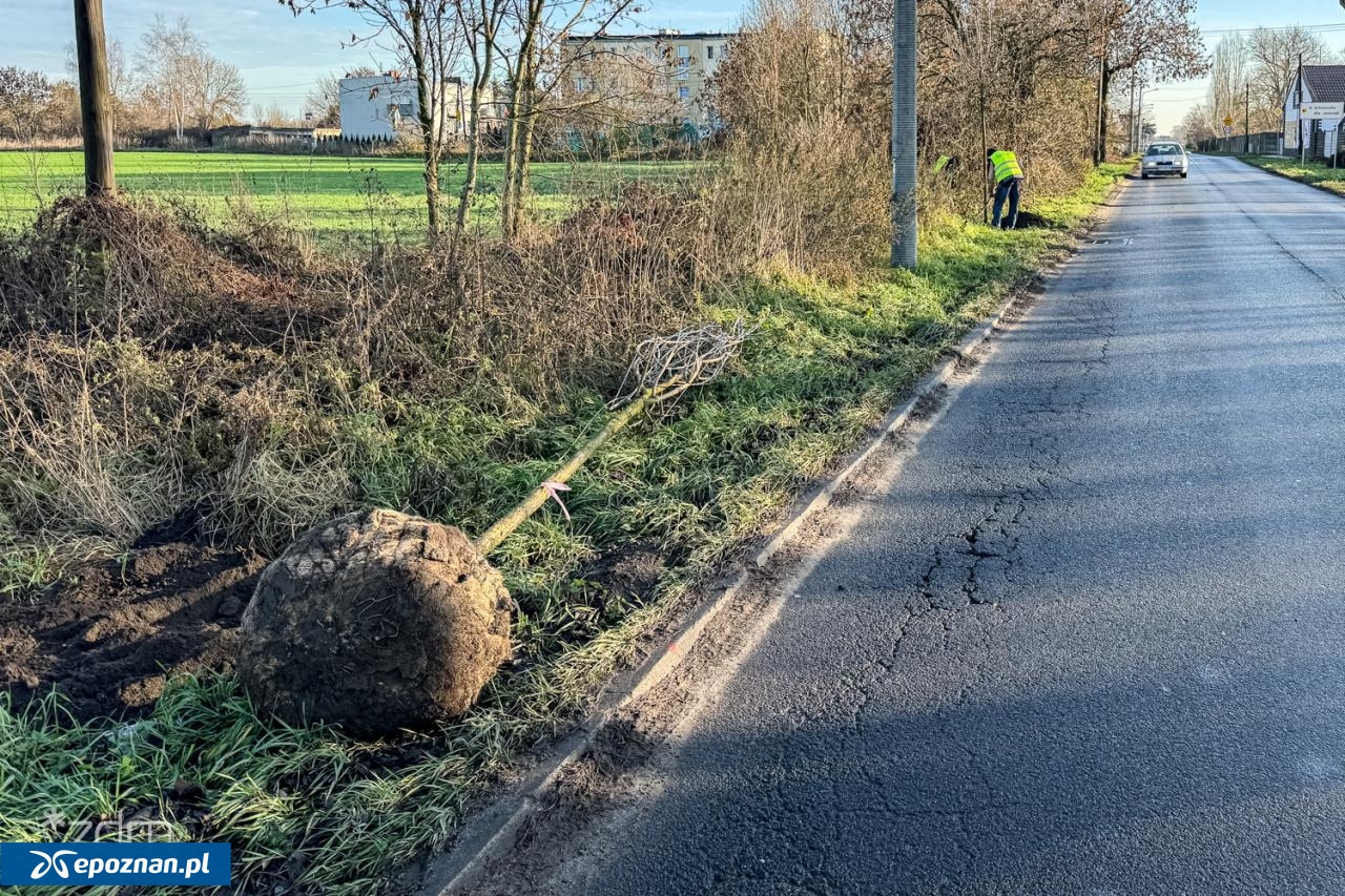 fot. Bartosz Szczepaniak / ZDM