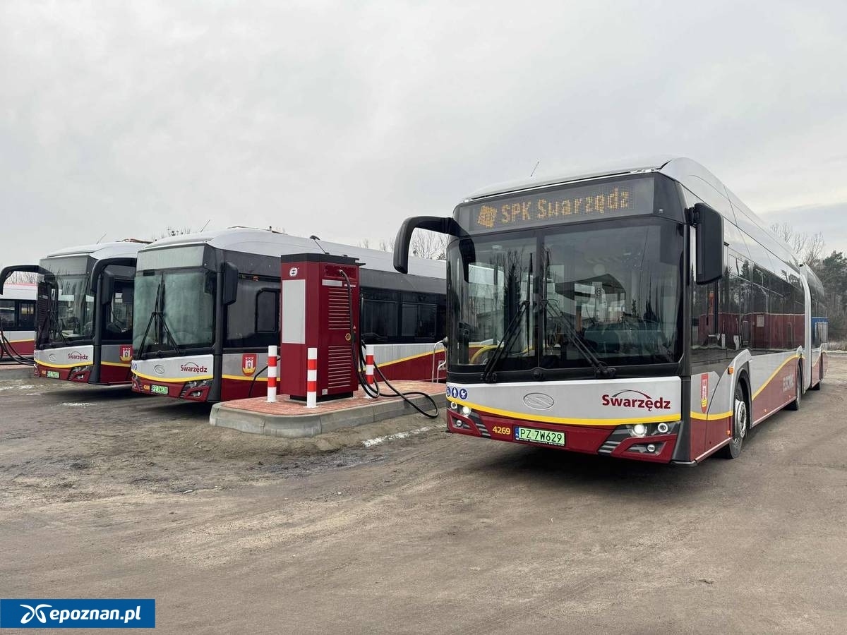 fot. Z. Lis / UMiG Swarzędz