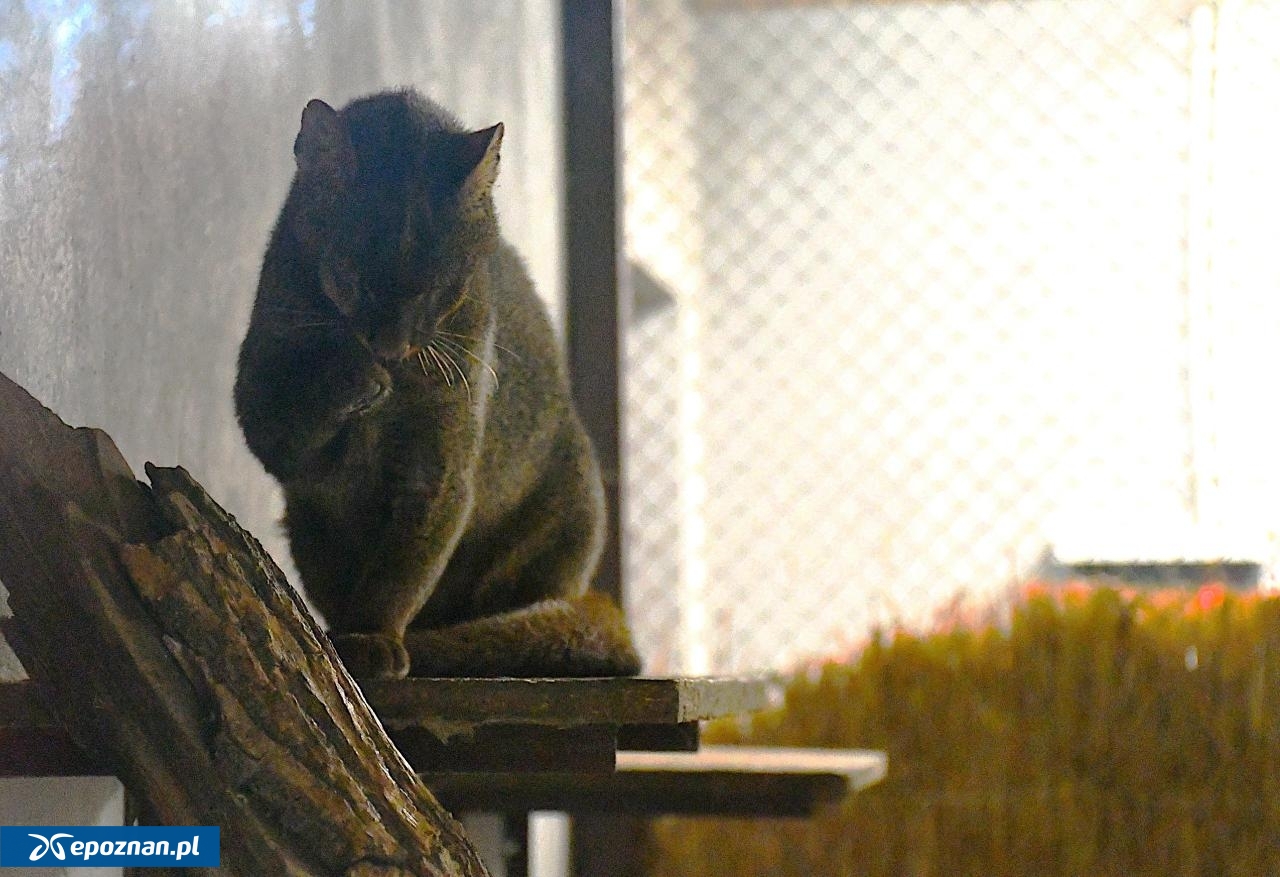 fot. ZOO Poznań