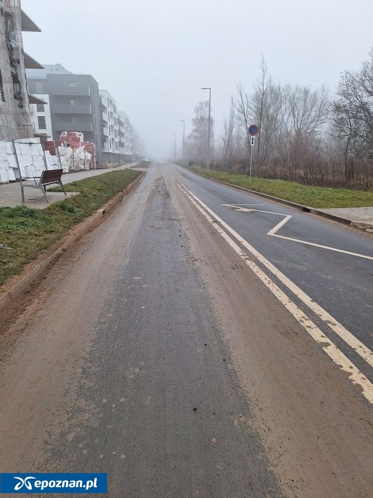 fot. Straż Miejska Miasta Poznania