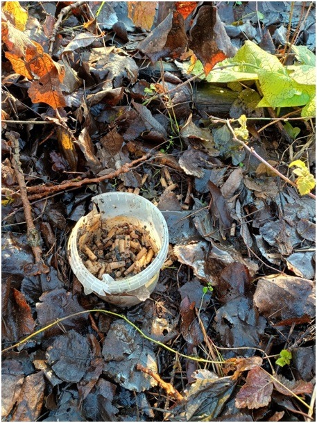 Góry śmieci w szuwarach nad podpoznańskim jeziorem. "Większość pozostawili amatorzy wędkowania"