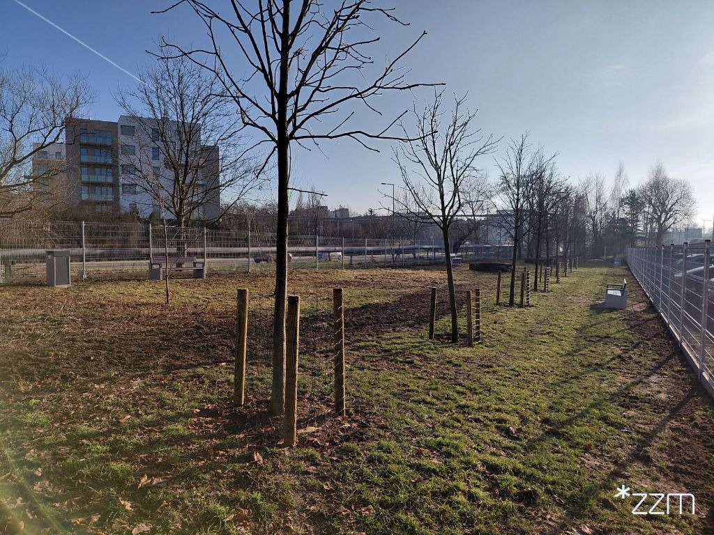 W Poznaniu powstał kolejny wybieg dla psów