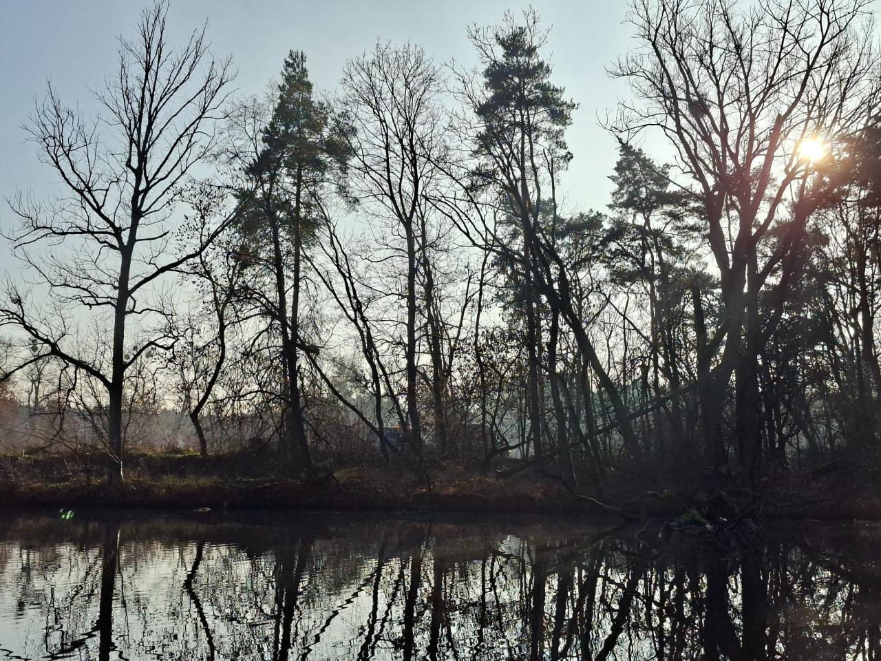 Ciężki sprzęt w lesie na Dębinie. Usuwają drzewa?