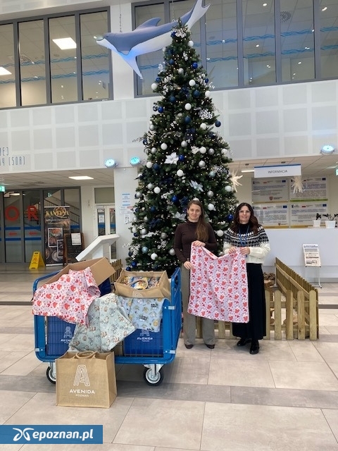 fot. Materiały prasowe