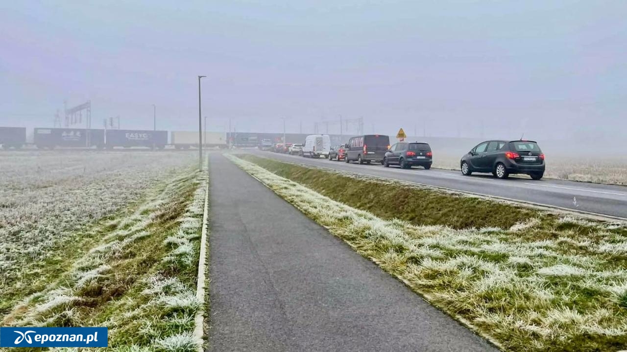 fot. Paweł Adam - Burmistrz Miasta i Gminy Buk / FB