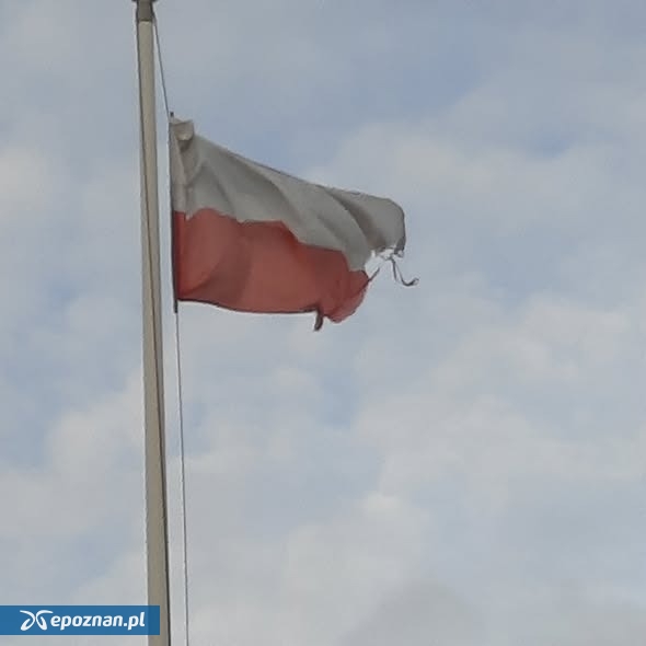 fot. Straż Miejska Miasta Poznania.