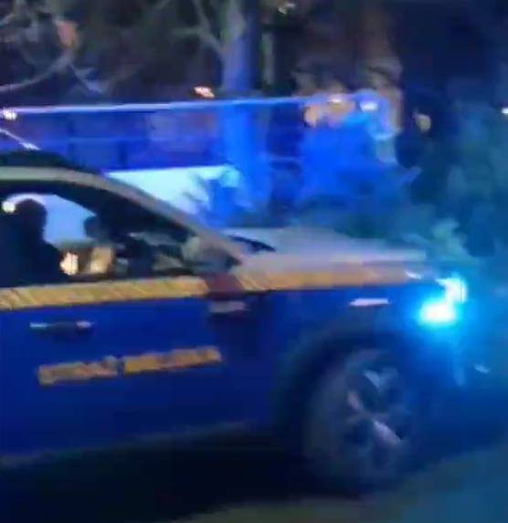 Małżeństwo zaparkowało na chwilę auto, żeby kupić choinkę. Dostali mandat. Świadek nagrał zdarzenie: "Idą święta, żenada. Brakuje kasy w poznańskim budżecie?"