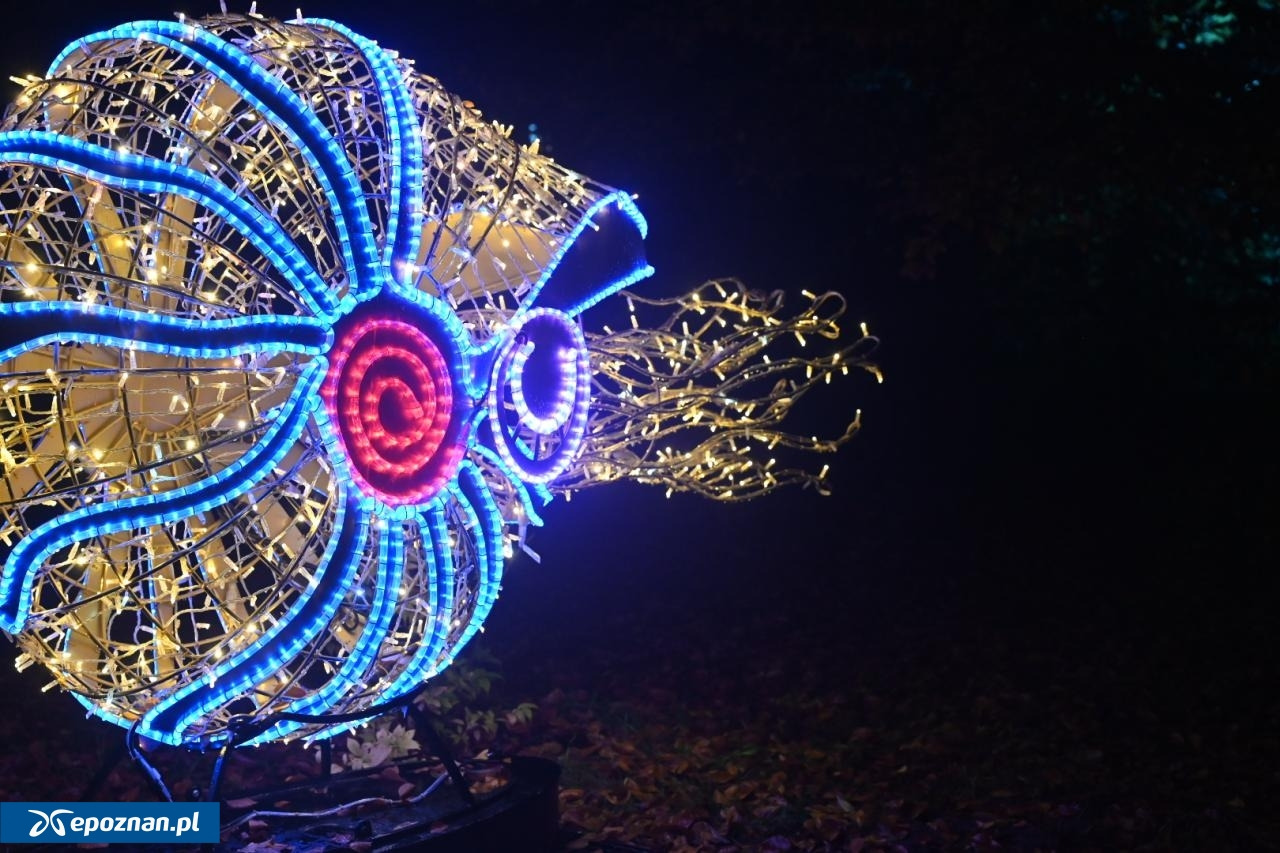 Niezwykłe miejsce w Poznaniu czynne jest również w święta. Otwierają dopiero późnym popołudniem
