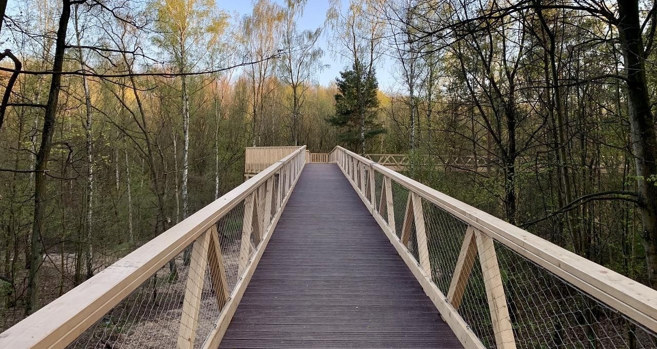 Niepokojące wieści w sprawie poznańskiej atrakcji. Zostanie zamknięta, by zweryfikować informacje o "porażeniu grzybami" jej elementów