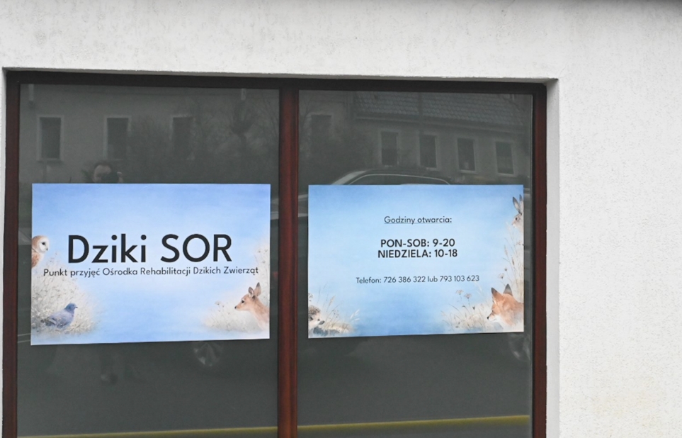 Rozstrzygnięto konkurs na organizację pomocy dzikim zwierzętom. SOR zmieni lokalizację