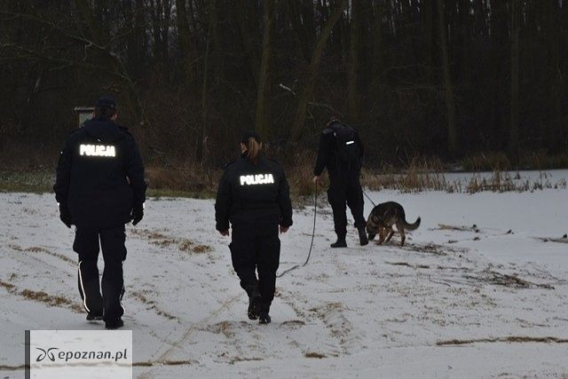 7 policyjnych patroli, kilkudziesięciu strażaków i 2 drony w poszukiwaniu mężczyzny, który zgubił się w lesie. Zaskakujący finał akcji
