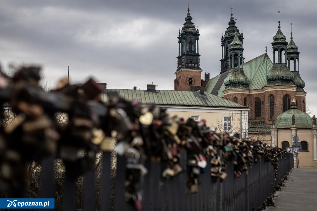 fot. Łukasz Kędziora