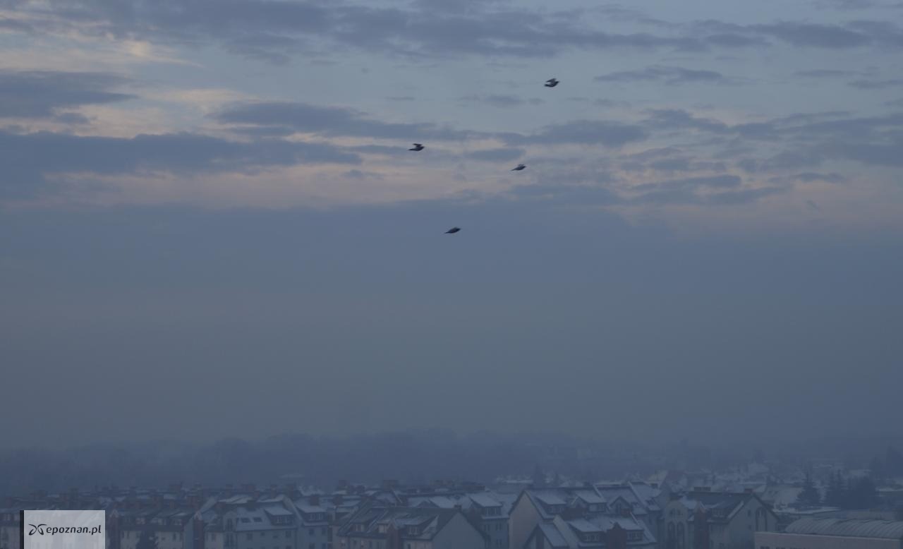 Alert RCB dla Poznania! Lepiej nie wychodzić na zewnątrz